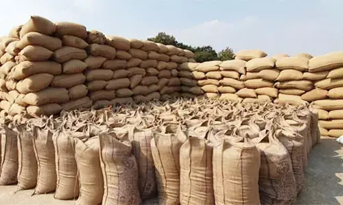 धान खरीदी बंद ,77 हजार किसान एमएसपी पर धान बिक्री से वंचित धान खरीदी बंद ,77 हजार किसान एमएसपी पर धान बिक्री से वंचित