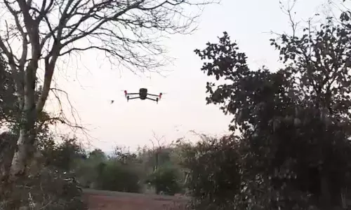 भंडारा में नरभक्षी बाघिन की दहशत बरकरार , ग्रामीणों पर दोहरा संकट भंडारा में नरभक्षी बाघिन की दहशत बरकरार , ग्रामीणों पर दोहरा संकट