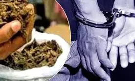 रेलवे स्टेशन क्षेत्र में 6 किलो गांजे के साथ 68 वर्षीय व्यक्ति गिरफ्तार