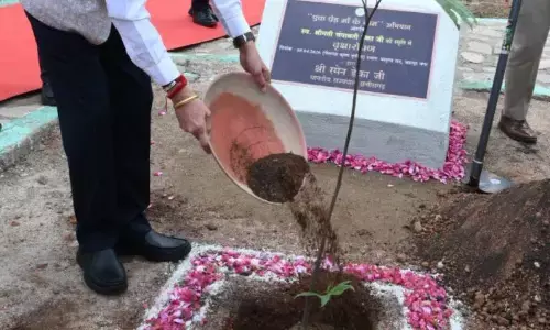 राज्यपाल रमेन डेका ने जशपुर के मातृत्व वन में किया सीता अशोक के पौधे का रोपण