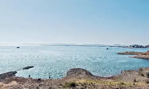 परियट नदी का जलस्तर घटा, रिहायशी इलाकों में मगरमच्छों की दस्तक से क्षेत्र में दहशत फैली