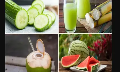 गर्मी से हैं परेशान, पाना चाहते हैं राहत तो जरूर खाएं ये फल, शरीर में नहीं होगी डिहाइड्रेशन की समस्या