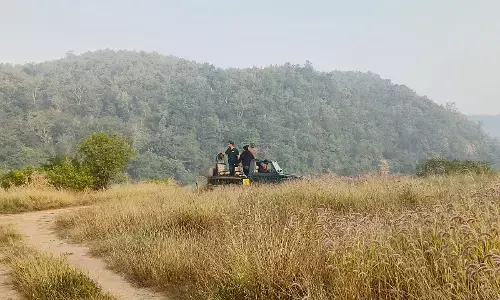 तपती धूप ने ठंडे जंगल सफरियों को किया सूना, मुश्किल से हो रहा वन्यजीवों का दीदार