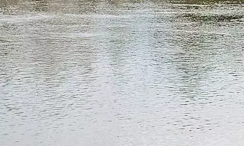 बांध की दोनों टरबाइन चालू होने से नर्मदा का जलस्तर फिर बढ़ा