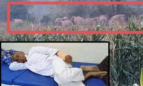 गोंदिया में किसानों पर टूट पड़े जंगली हाथी, जमीन पर गिरे और उठकर भागे गोंदिया में किसानों पर टूट पड़े जंगली हाथी, जमीन पर गिरे और उठकर भागे