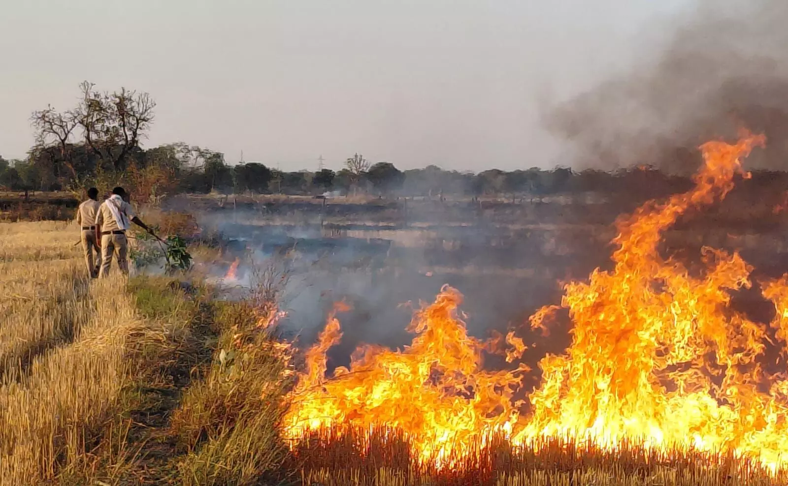रैपुरा में लगी भीषण आग, कई किलोमीटर तक फैली लपटें, पुलिसकर्मियों ने दिखाई बहादुरी, ग्रामीणों के साथ आग पर पाया काबू, नहीं पहुंची फायर बिग्रेड रैपुरा में लगी भीषण आग, कई किलोमीटर तक फैली लपटें, पुलिसकर्मियों ने दिखाई बहादुरी, ग्रामीणों के साथ आग पर पाया काबू, नहीं पहुंची फायर बिग्रेड