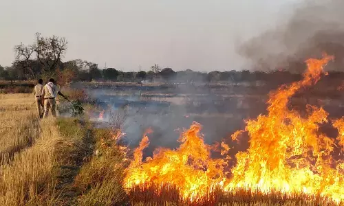 रैपुरा में लगी भीषण आग, कई किलोमीटर तक फैली लपटें, पुलिसकर्मियों ने दिखाई बहादुरी, ग्रामीणों के साथ आग पर पाया काबू, नहीं पहुंची फायर बिग्रेड