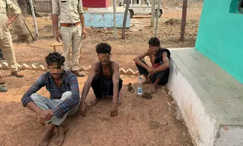 टाइगर के हमले से महिला घायल, जिला अस्पताल में चल रहा इलाज