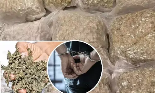 एनसीबी मुंबई की टीम ने की बड़ी कार्रवाई , ट्रक से 210 किलो गांजा बरामद हुआ