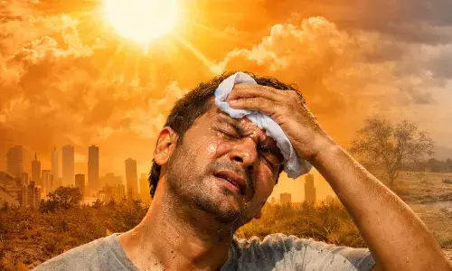 सूरज ने दिखाए तेवर, अब सताने लगी गर्मी, मौसम विभाग के तहत इस साल देश के कई हिस्सों में सामान्य से कम मौसमी वर्षा होने की संभावना