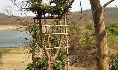 1 मई को होगी मचान से वन्यजीवों का दीदार , 20 अप्रैल से कर सकतें रजिस्ट्रेशन