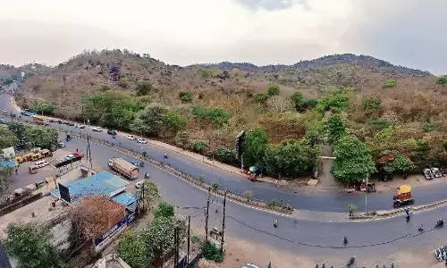 जंगल से धरती की शोभा..फिर भी महज 7% जमीन पर हरियाली