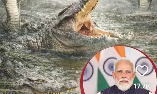 पश्चिम बंगाल : घुसपैठ रोकने के लिए करिश्माई वोट जुगाड़ू प्रयोग