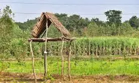 उम्र बनी बाधा : पर्यावरण अनुभव दौरे से वंचित रहेंगे वृद्ध वन्यप्रेमी