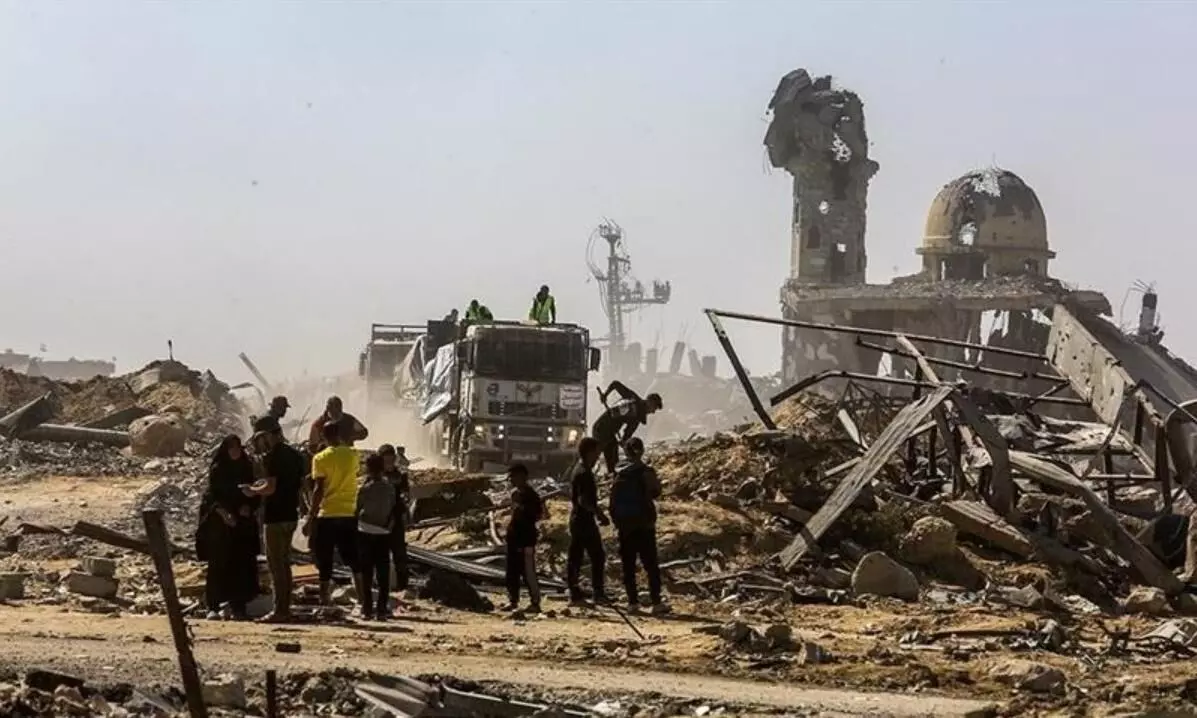 खरगोश के साइज में तब्दील हुए चूहे, सोए हुए मासूम बच्चों और नागरिकों को बना रहे शिकार, शवों में सड़न