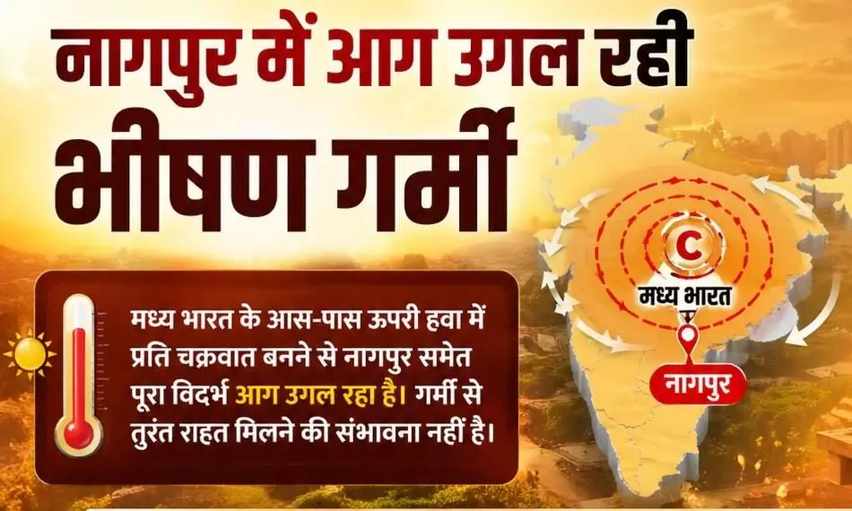 चढ़ा पारा  - शुष्क हवा के कारण वातावरण में भयंकर गर्माहट, पक्षी डिहाइड्रेशन के हो रहे शिकार