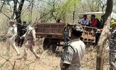 पन्ना टाइगर रिजर्व के कोर क्षेत्र में पेड़ पर लटका मिला अज्ञात व्यक्ति का शव
