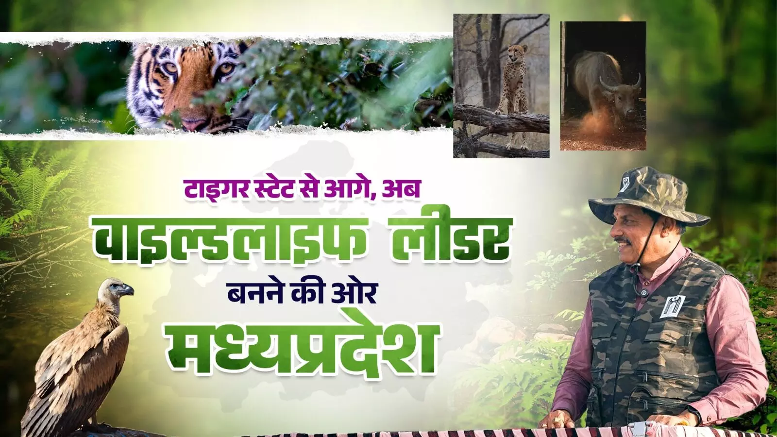 जंगल में दौड़ने को तैयार मादा चीता, टाइगर स्टेट से आगे अब MP को वाइल्डलाइफ लीडर बना रहे सीएम डॉ. यादव जंगल में दौड़ने को तैयार मादा चीता, टाइगर स्टेट से आगे अब MP को वाइल्डलाइफ लीडर बना रहे सीएम डॉ. यादव