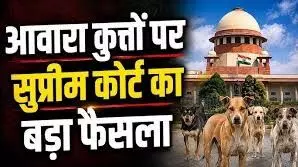 विजय गोयल ने कहा - आवारा कुत्तों पर सुप्रीम कोर्ट का निर्णय ऐतिहासिक कदम, भयमुक्त जीवन को प्राथमिकता