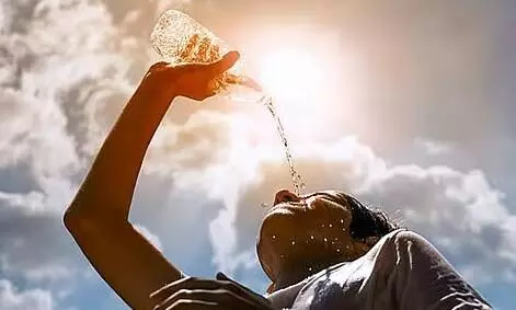 गर्मी में फूड पॉइजनिंग और लू लगने का है डर, तो सावधानियों को बरतना बहुत ही जरूरी, जानें क्या करना चाहिए और क्या नहीं