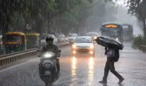 मानसून की एंट्री से पहले MP में धुंआधार बारिश, 90 किलोमीटर की रफ्तार से चली आंधी-तूफान