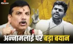 अन्नामलाई के पार्टी छोड़ने पर संजय सिंह की तीखी प्रतिक्रिया, कहा- वो गलतफहमी का शिकार हैं कि वे चुनाव...
