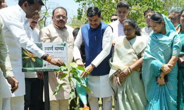 पर्यावरण संरक्षण में आगे बढ़ रहा मध्य प्रदेश, सीएम मोहन यादव की कई बड़ी पहल