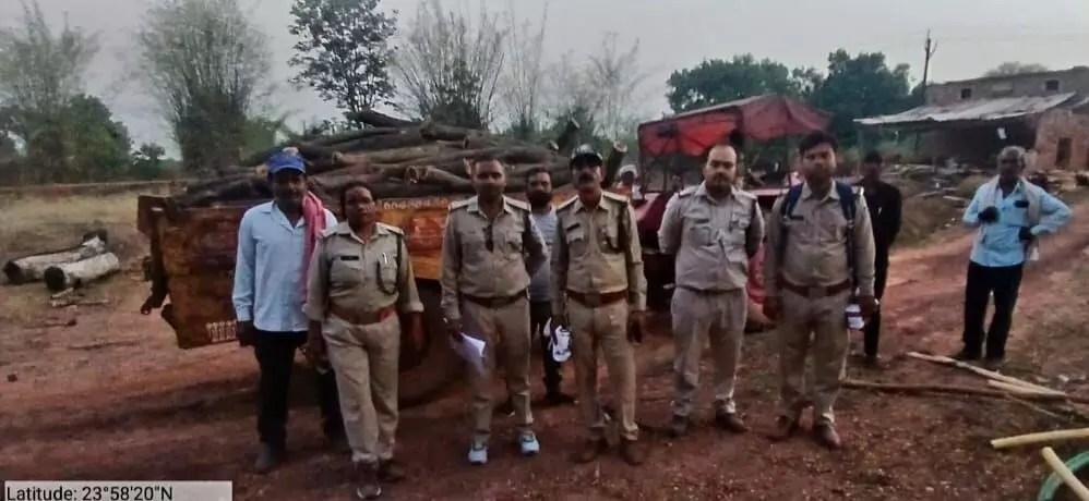 फर्नीचर मार्ट में अवैध रूप से भंडारित पाई गई पांच घन मीटर इमारती लकड़ी जब्त, वन परिक्षेत्र शाहनगर की टीम द्वारा की गई कार्यवाही फर्नीचर मार्ट में अवैध रूप से भंडारित पाई गई पांच घन मीटर इमारती लकड़ी जब्त, वन परिक्षेत्र शाहनगर की टीम द्वारा की गई कार्यवाही