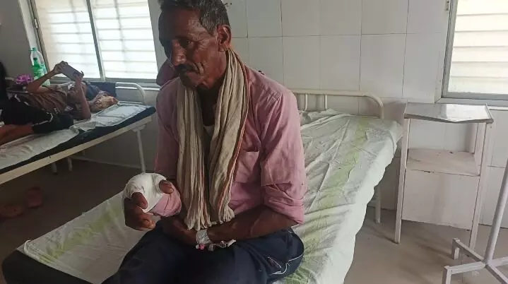 भालू के हमले में अकेले लड़ा बुजुर्ग, गंभीर हालत में जिला अस्पताल में भर्ती भालू के हमले में अकेले लड़ा बुजुर्ग, गंभीर हालत में जिला अस्पताल में भर्ती