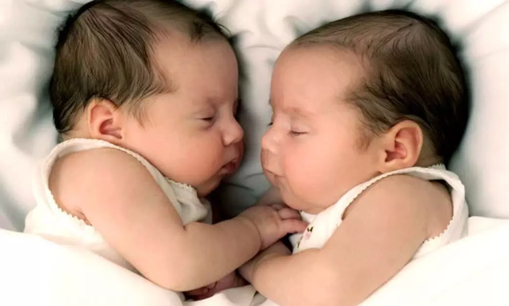 गायनोकोलॉजिस्ट ने IVF ट्रीटमेंट की दी सलाह, अस्पताल में बच्चे बदलने का दावा, DNA रिपोर्ट में बड़ा खुलासा गायनोकोलॉजिस्ट ने IVF ट्रीटमेंट की दी सलाह, अस्पताल में बच्चे बदलने का दावा, DNA रिपोर्ट में बड़ा खुलासा