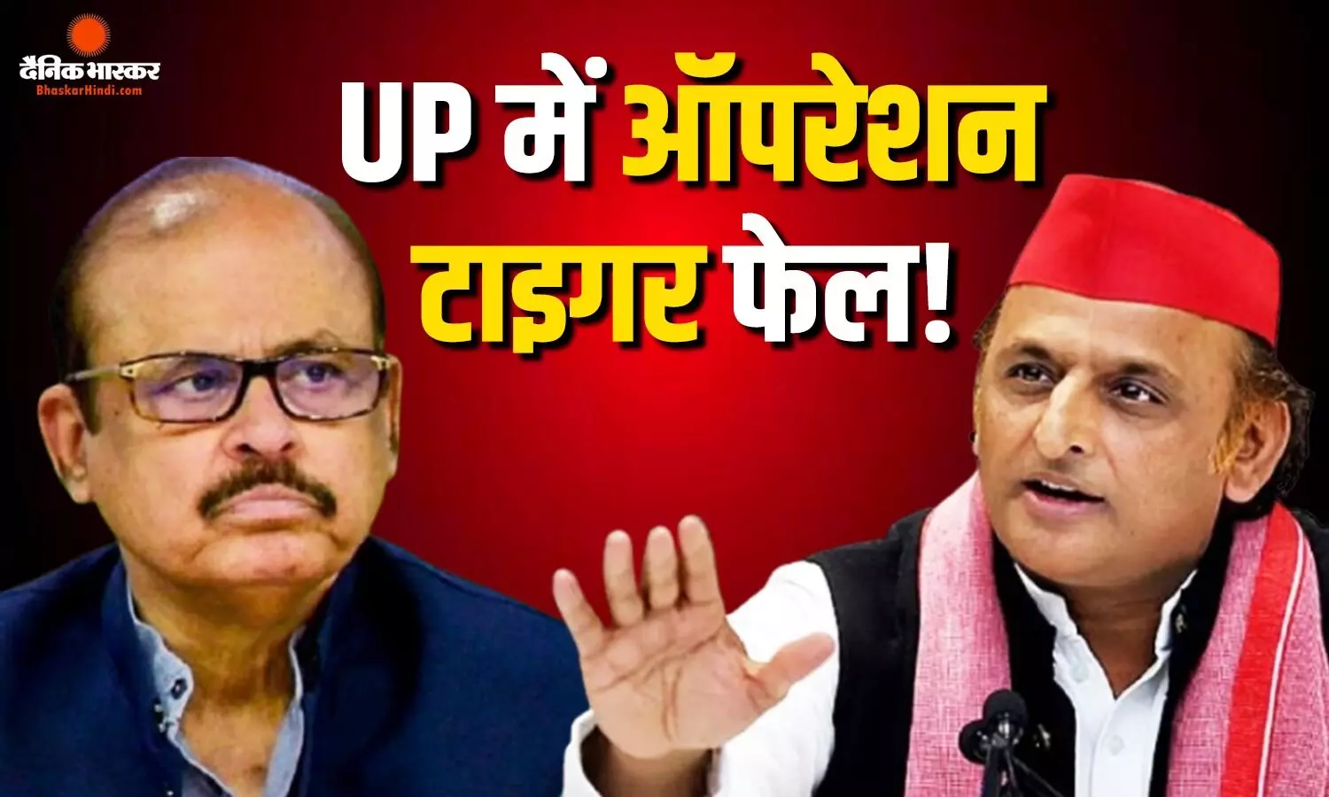 ऑपरशेन टाइगर पर सियासी पारा हाई, कांग्रेस सांसद ने सपा में टूट पर दिया दो टूक जवाब ऑपरशेन टाइगर पर सियासी पारा हाई, कांग्रेस सांसद ने सपा में टूट पर दिया दो टूक जवाब
