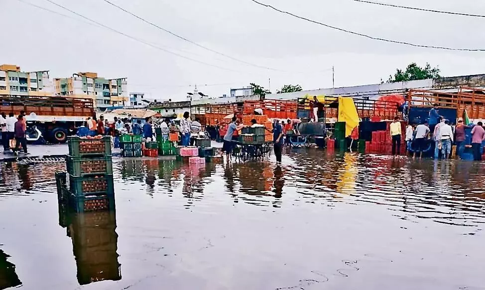 यह कोई तालाब नहीं, शहर की सबसे बड़ी कृषि उपज मंडी है, जरा सी बारिश में आफत यह कोई तालाब नहीं, शहर की सबसे बड़ी कृषि उपज मंडी है, जरा सी बारिश में आफत