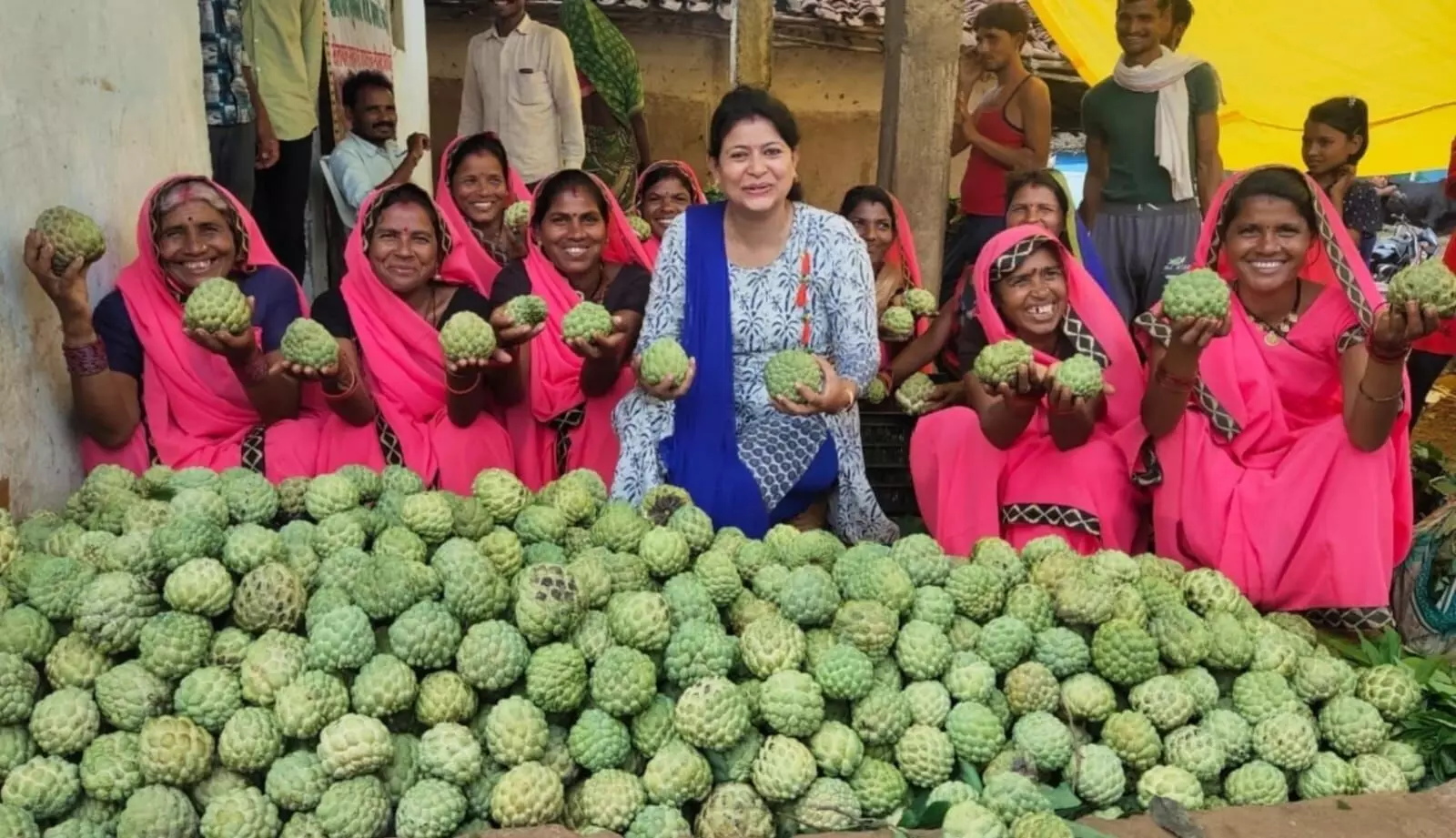 अब विदेश में भी पहचान बनाएगा सिवनी का जम्बो, जिले के हजारों सीताफल उत्पादक किसानों को मिलेगा सीधा लाभ