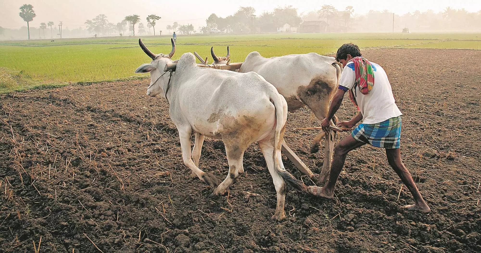 जिले में मानसून की आमद जल्द - बुआई के इंतजार में बैठे किसानों की उम्मीदें बढ़ीं जिले में मानसून की आमद जल्द - बुआई के इंतजार में बैठे किसानों की उम्मीदें बढ़ीं