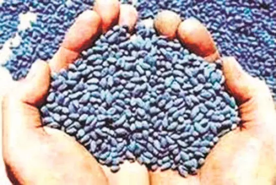 20.60 लाख के अवैध कपास और मक्का के बीज जब्त, गोदाम हुआ सील