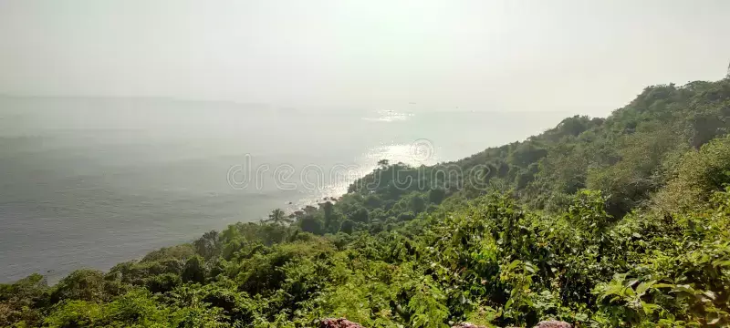 शिकार करने की वजह से आग से धधक रहे कोकण के जंगल, वन मंत्री गणेश नाईक ने कबूला- एक साल में 1226 घटनाएं