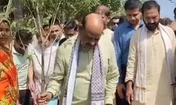 लोकसभा स्पीकर ने किया वृक्षारोपण, सभी सांसदों से अपने- अपने क्षेत्र को हरा-भरा रखने का किया आग्रह