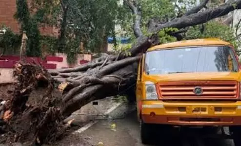 चेंबूर इलाके में स्कूल बस में सवार बच्चों पर गिरा पेड़, 1 की मौत, 10 घायल