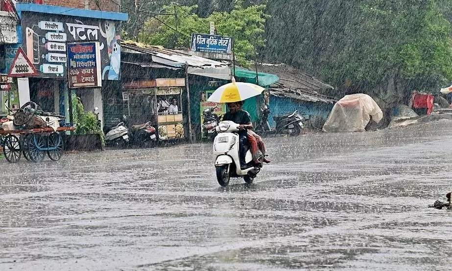 जल भराव वाले क्षेत्र में बरसा 4 इंच पानी, जल्द बुझेगी बरगी बांध की प्यास