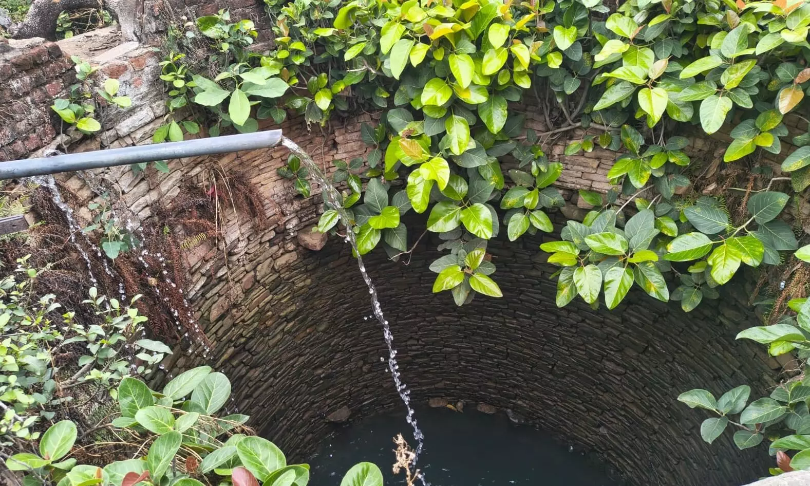 मुख्य पेयजल स्रोत के पास गंदगी का अंबार, हजारों लोगों के स्वास्थ्य पर संक्रमण का खतरा
