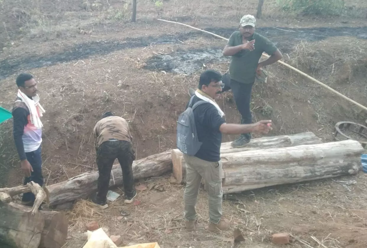 गोंदिया में लाखों का सागौन जब्त, घर में चल रहा था कारोबार