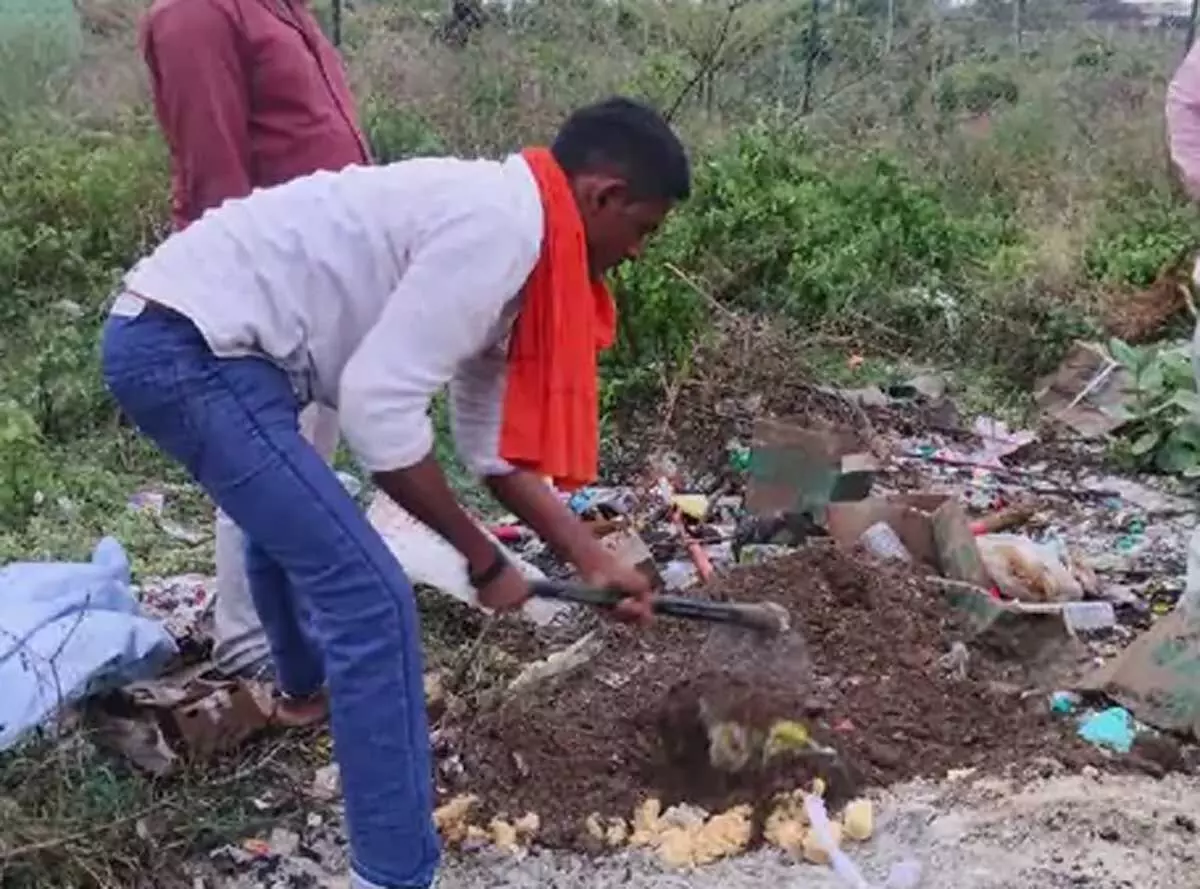 औंढा नागनाथ मंदिर परिसर में खुले में रखे पेड़ों पर एफडीए की कार्रवाई, करीब एक क्विंटल माल जब्त औंढा नागनाथ मंदिर परिसर में खुले में रखे पेड़ों पर एफडीए की कार्रवाई, करीब एक क्विंटल माल जब्त
