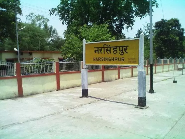 जहरीले सर्प के डंसने से महिला की मौत, पुरादफाई गांव में जमीन पर बेटियों के साथ सोते वक्त घटना जहरीले सर्प के डंसने से महिला की मौत, पुरादफाई गांव में जमीन पर बेटियों के साथ सोते वक्त घटना