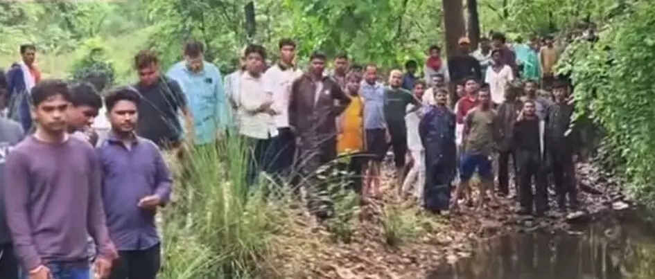 भंडारा में बेटे के सामने ही पिता को जंगल में घसीट ले गया बाघ, गई जान भंडारा में बेटे के सामने ही पिता को जंगल में घसीट ले गया बाघ, गई जान