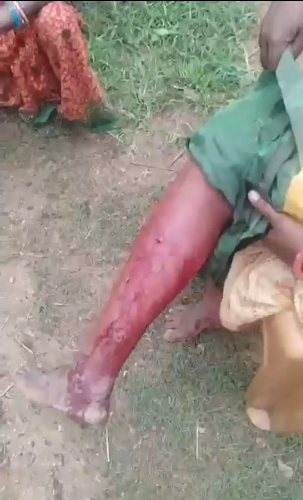 बाघ ने महिला पर किया हमला, शोर मचाने पर बकरी को उठाकर ले गया बाघ बाघ ने महिला पर किया हमला, शोर मचाने पर बकरी को उठाकर ले गया बाघ