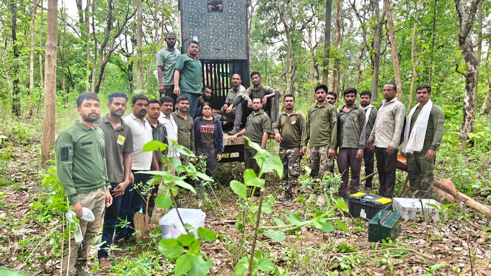 घायल बाघ टी-108 को बचाने के लिए चला तेज बचाव अभियान, उपचार के लिए डब्ल्यूआरटीसी में किया गया शिफ्ट घायल बाघ टी-108 को बचाने के लिए चला तेज बचाव अभियान, उपचार के लिए डब्ल्यूआरटीसी में किया गया शिफ्ट