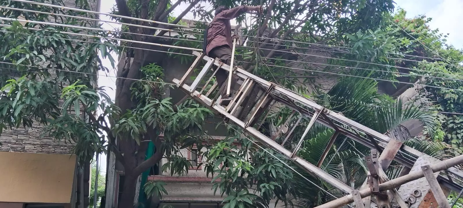 गौसिया कॉलोनी के बाद ताज नगर में करंट का खतरा, अमृत योजना के कामों में फिर उजागर हुई लापरवाही