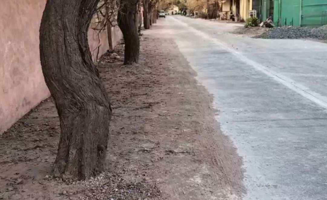 अब सड़क मार्गों के किनारे लगे पेड़-पौधों के चारों ओर 45 सेंटीमीटर स्थान पर मिट्टी-मुरम डालना होगी