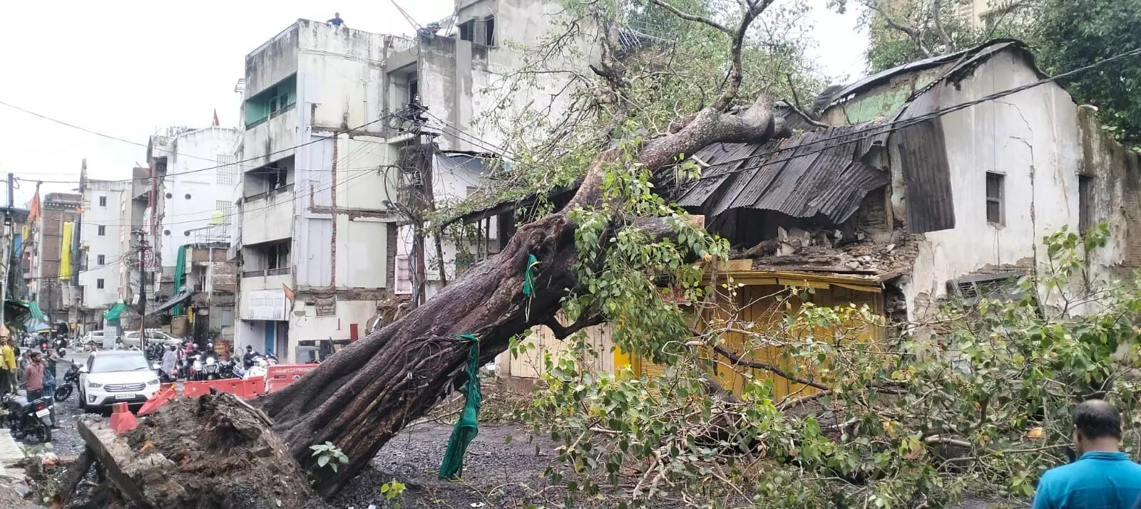 हंसापुरी में 100 साल पुराना पेड़ धराशायी, कई स्थानों पर रास्ता बंद होने से परेशानी हंसापुरी में 100 साल पुराना पेड़ धराशायी, कई स्थानों पर रास्ता बंद होने से परेशानी
