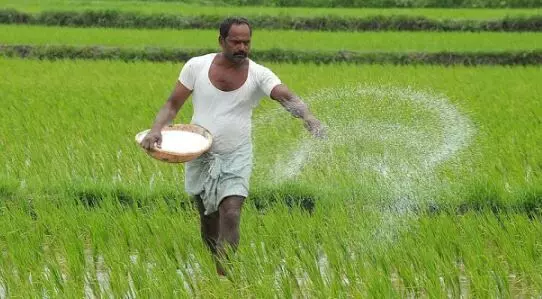 अब प्रदेश की निजी मंडियां भी राष्ट्रीय कृषि बाजार पोर्टल से जुड़ेंगी अब प्रदेश की निजी मंडियां भी राष्ट्रीय कृषि बाजार पोर्टल से जुड़ेंगी